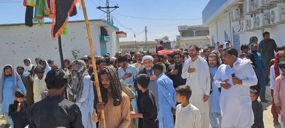 علامہ عارف حسین واحدی، ملہووالی