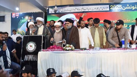 سینیٹر علامہ راجہ ناصر عباس جعفری آئندہ تین سال کے لیے ایم ڈبلیو ایم کے چیئرمین منتخب ہو گئے