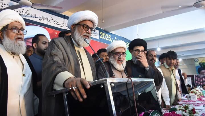 تجدید اعتماد اعضای مجلس وحدت مسلمین پاکستان؛ سناتور راجا ناصر عباس جعفری دوباره رئیس شد