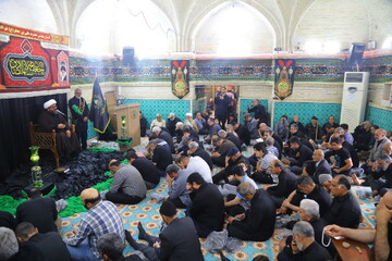 تصاویر / مراسم عزاداری روز شهادت امام جعفر صادق (ع) در امامزاده علی بن جعفر (ع)