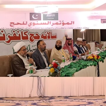 نایب رئیس شورای علمای شیعه پاکستان: حج، نماد وحدت امت اسلامی در جهان است