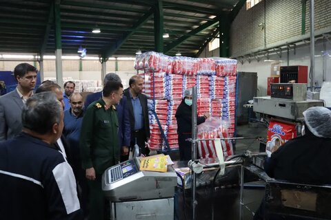 تصاویر/ بازدید فرمانده سپاه استان از واحد تولیدی نیمه شعبان سمنان