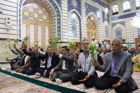 Imágenes / Ceremonia de lectura de sermones en el santuario de Hazrat Fatima Masuma (P) con la presencia de recitadores religiosos de Ahlul Bait (P)