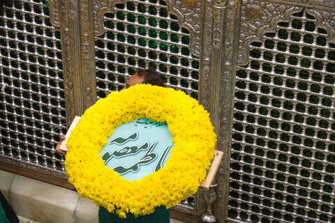 تصاویر/ گل آرایی ضریح حرم حضرت معصومه(س) به مناسبت میلاد بانوی کرامت