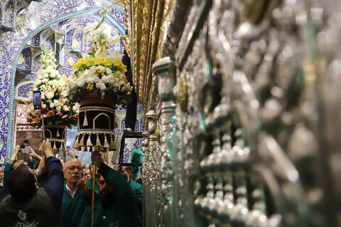 تصاویر/ گل آرایی ضریح حرم حضرت معصومه(س) به مناسبت میلاد بانوی کرامت