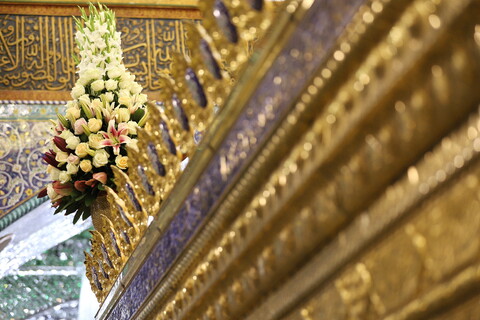 تصاویر/ گل آرایی ضریح حرم حضرت معصومه(س) به مناسبت میلاد بانوی کرامت