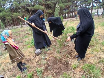 تصاویر/ پویش درختکاری به مناسبت دهه کرامت در مدرسه علمیه الهیه ساوه
