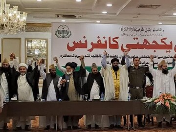 نائب رئیس شورای علمای شیعه پاکستان: وحدت و همبستگی، راه نجات امت اسلامی است