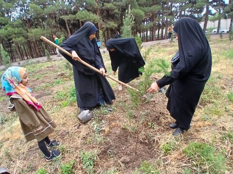 تصاویر/پویش درختکاری به مناسبت دهه کرامت در مدرسه علمیه الهیه ساوه