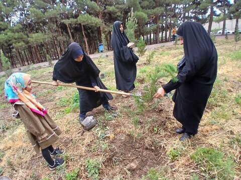 تصاویر/پویش درختکاری به مناسبت دهه کرامت در مدرسه علمیه الهیه ساوه