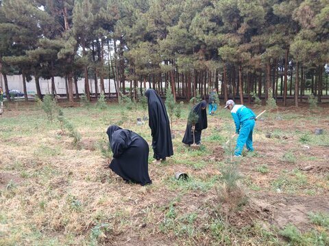 تصاویر/پویش درختکاری به مناسبت دهه کرامت در مدرسه علمیه الهیه ساوه