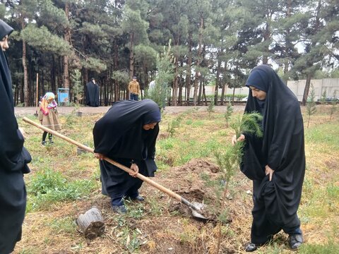 تصاویر/پویش درختکاری به مناسبت دهه کرامت در مدرسه علمیه الهیه ساوه