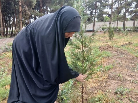 تصاویر/پویش درختکاری به مناسبت دهه کرامت در مدرسه علمیه الهیه ساوه