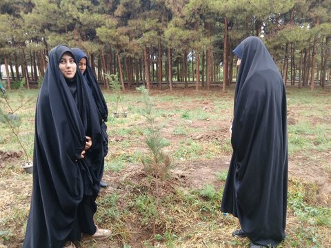 تصاویر/پویش درختکاری به مناسبت دهه کرامت در مدرسه علمیه الهیه ساوه