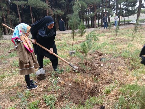 تصاویر/پویش درختکاری به مناسبت دهه کرامت در مدرسه علمیه الهیه ساوه