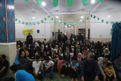 تصاویر/ خادمان امام رضا(ع) در جمع بوشهری‌ها