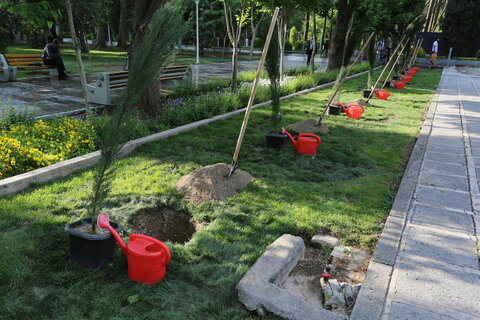 تصاویر / کاشت درخت صلح توسط مهمانان سومین اجلاس بین المللی ایران و آفریقا در اصفهان