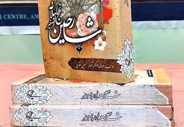 انتشار کتاب پژوهشی «شارحین نهج‌البلاغه»؛ بازنمایی تلاش‌های علمی پیرامون نهج‌البلاغه در شبه‌قاره هند