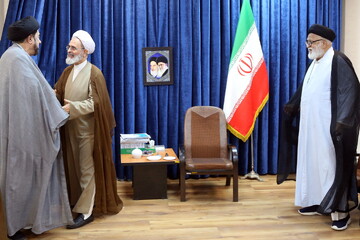 تصاویر/ دیدار جمعی از علمای شیعه هندوستان با آیت الله اعرافی