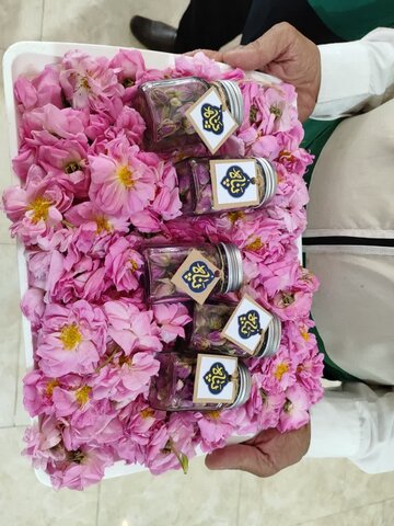 تصاویر/ ورود خدام حرم رضوی به کاشان