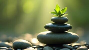 Cultivating a sense of balance within ourselves