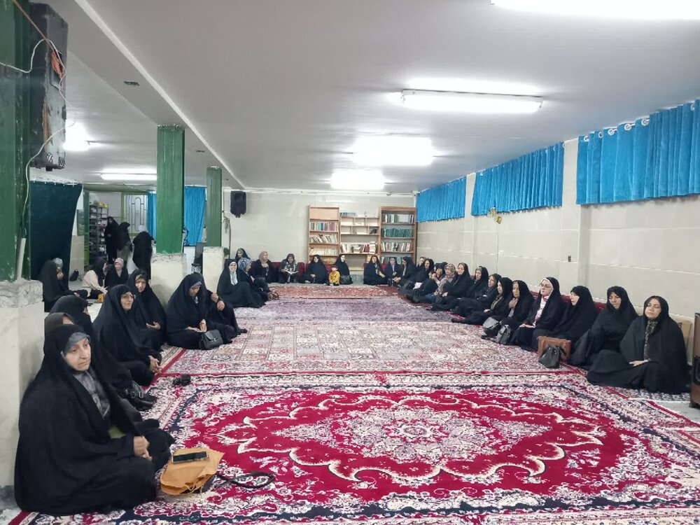 هدف سفر حضرت معصومه(س) تبیین اهداف امام رضا (ع) بود