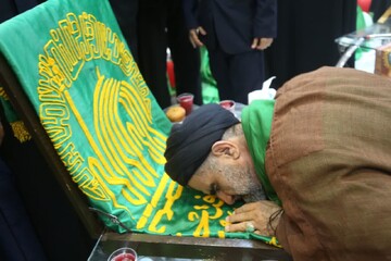 تصاویر/ استقبال از خدام رضوی در روستای تلخو شهرستان دشتی