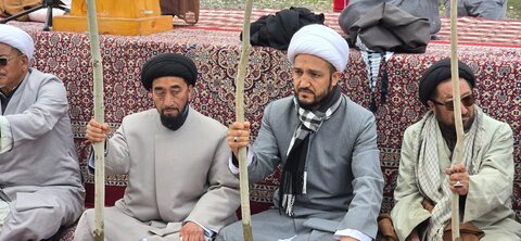 شجر کاری
