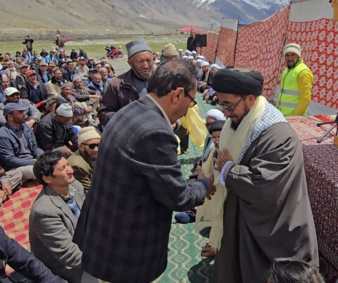 شجر کاری