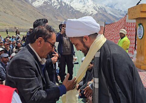 شجر کاری
