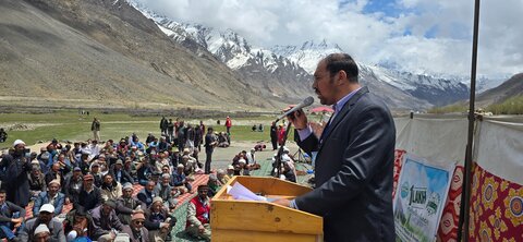 شجر کاری