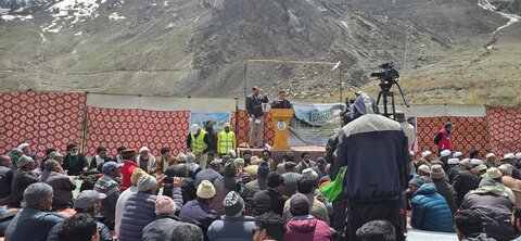 شجر کاری