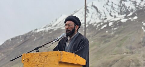 شجر کاری