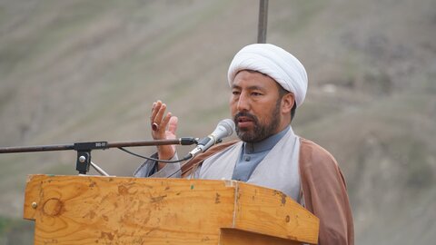 شجر کاری