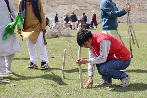 شجر کاری