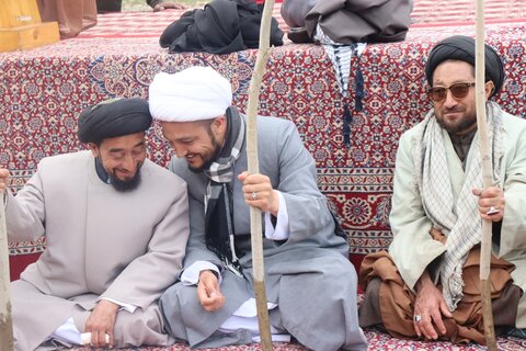 شجر کاری