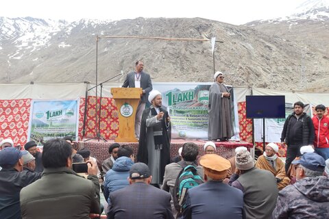 شجر کاری