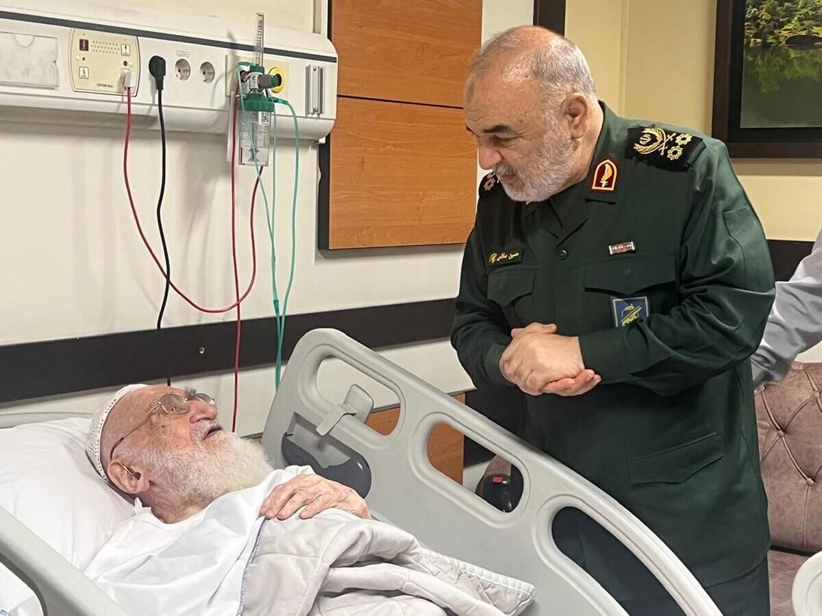 فرمانده کل سپاه از آیت الله العظمی نوری همدانی عیادت کرد
