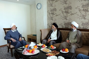 تصاویر/ دیدار مهمانان بین‌المللی همایش یکصدمین سالگشت بازتأسیس حوزه علمیه قم با آیت‌الله غروی