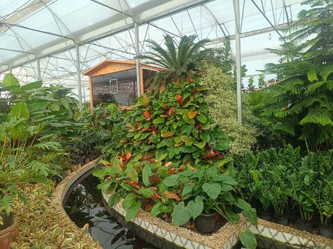 تصاویر/برگزاری اردوی زیارتی _سیاحتی مشهد اردهال ویژه طلاب آشتیان