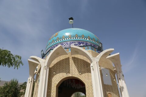 تصاویر/ استقبال از خدام رضوی در شهر انارستان جم