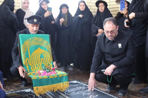 تصاویر/ استقبال از خدام رضوی در شهر انارستان جم