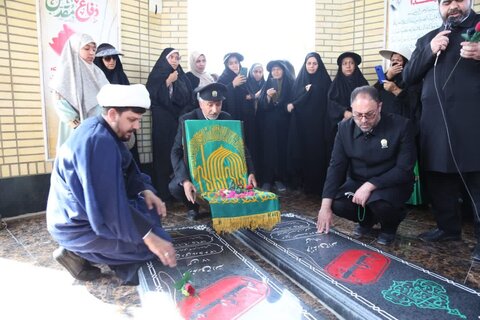 تصاویر/ استقبال از خدام رضوی در شهر انارستان جم