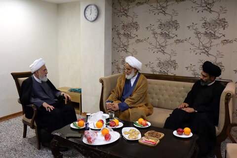 تصاویر/ دیدار مهمانان بین‌المللی همایش یکصدمین سالگشت بازتأسیس حوزه علمیه قم با آیت‌الله غروی