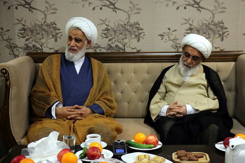 تصاویر/ دیدار مهمانان بین‌المللی همایش یکصدمین سالگشت بازتأسیس حوزه علمیه قم با آیت‌الله غروی