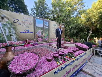 بیست و دومین جشن گل محمدی وآیین گلاب‌گیری در نیاسر برگزار شد