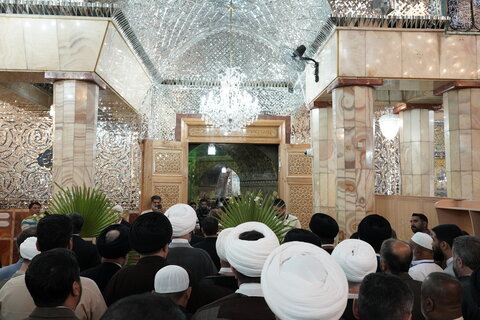 تصاویر/ تشرف مهمانان بین‌المللی همایش صده به حرم مطهر حضرت معصومه(س)