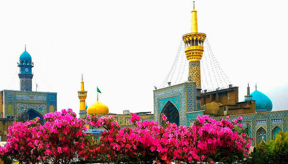 الإمام الرضا (عليه السلام) .. مدرسة العلم الإلهي