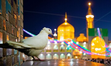 مشهدی رمضان؛ قصابی که میهمان ویژه امام رضا(ع) شد