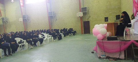 تصاویر/برگزاری جشن میلاد امام رضا (ع)در دلیجان